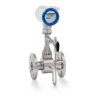 Preview: KROHNE OPTISWIRL 4070
