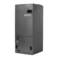 Preview: Goodman AEPF