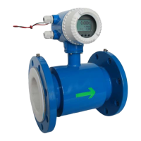 Preview: Flowmeter LDG