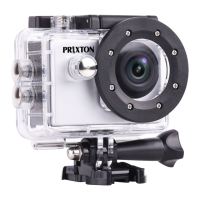Preview: PRIXTON DV650