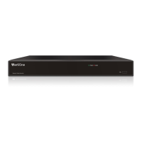 Preview: MaxxOne Falcon