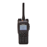 Preview: Hytera PT580H