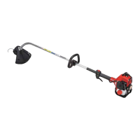 Preview: Shindaiwa F220