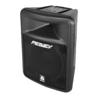 Preview: Peavey Impulse 1015P