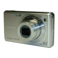 Preview: Sony DSC-W220