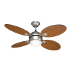 Fan Logo