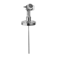 Preview: Endress+Hauser Levelflex FMP51