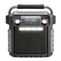 Preview: ION Job Rocker Max