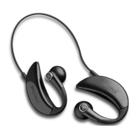 Preview: Jaybird JB-100