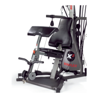 Preview: Bowflex Preacher Curl Attachment