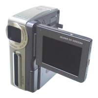 Preview: Sony DCR-IP1