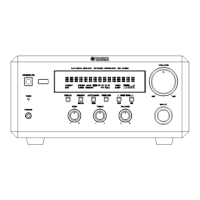 Preview: Yamaha CRX-E400