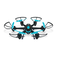 Preview: sky rider Night Hawk DRW557
