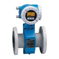 Preview: Endress+Hauser Promag 53