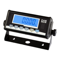Preview: CAS CI-100A