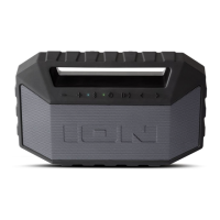 Preview: ION Plunge Max