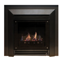 Preview: Real Flame Captiva 600