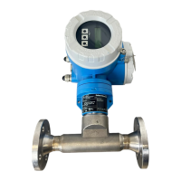 Preview: Endress+Hauser Proline t-mass 65