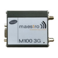 Preview: Maestro 100 3G