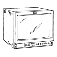 Preview: Sony Trinitron PVM-1353