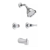 Preview: Moen 82009