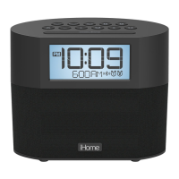 Preview: iHome iBT231