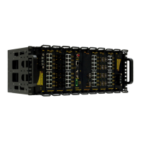 RuggedCom RUGGEDBACKBONE RX5000