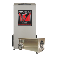 Preview: Phoenix D385