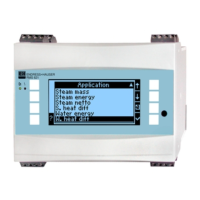 Preview: Endress+Hauser RMS621