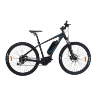 Preview: VelectriX Ascent+ 29 MTB