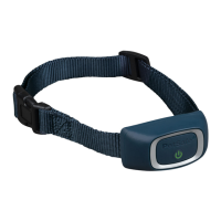Preview: Petsafe PBC00-15999