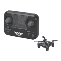 Preview: sky rider Micro