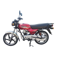 Preview: Bajaj Auto Boxer BM 100