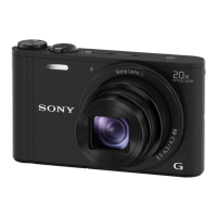 Preview: Sony DSC-WX350