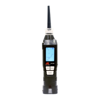 Preview: RKI Instruments SP-220 TYPE F