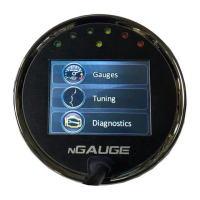 Preview: e-motion nGauge