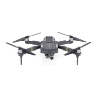 Preview: C-Fly obtain