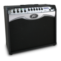 Preview: Peavey VYPYR PRO