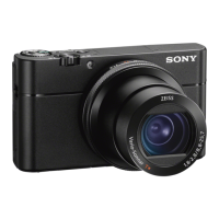 Preview: Sony DSC-RX100