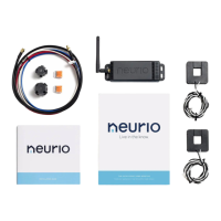 Preview: Neurio neurio
