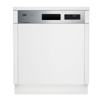 Preview: Beko DSN28420X