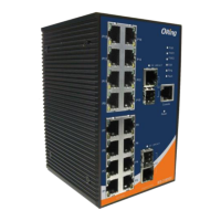 Preview: ORiNG IES-3162GC