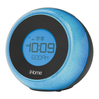Preview: iHome iBT290