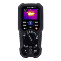 Preview: FLIR DM166