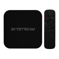 Preview: SkyStream TWO