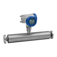 Preview: KROHNE OPTIMASS 7000