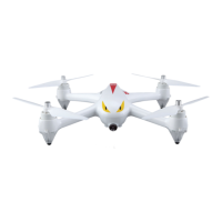 Preview: MJX R/C Bugs 2