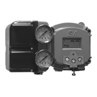 Preview: Baker Hughes Masoneilan SVIII AP
