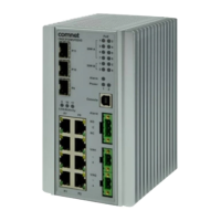 Preview: Comnet CNGE3FE8MSPOE