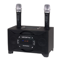 Preview: VocoPro karaokedual